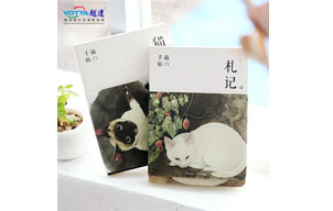 實(shí)拍筆記本UV噴印
